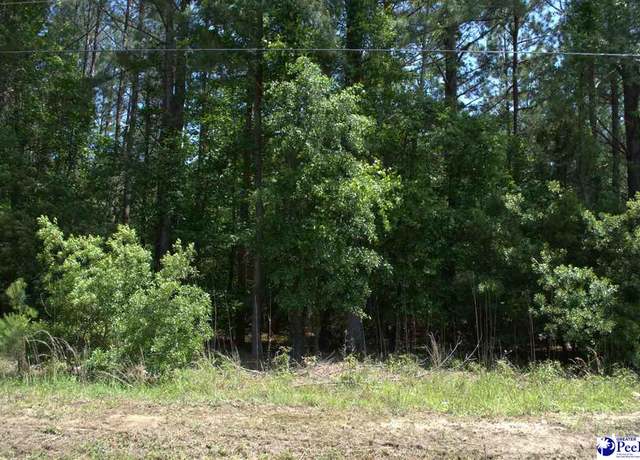 Property at 5252 Heyward Rd, Effingham, SC 29541