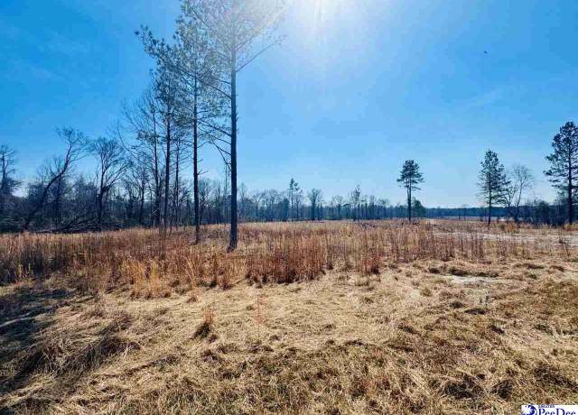 Property at 0000 Woodbine Rd (lot 3), Cheraw, SC 29520