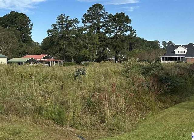 Property at TBD Dogwood Lane Lot B, Lake City, SC 29560
