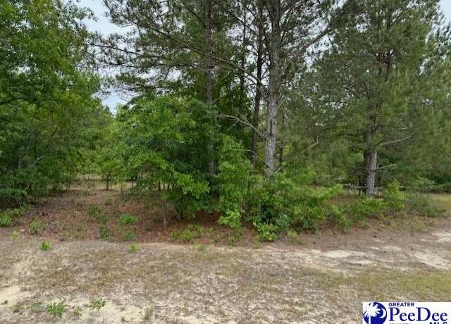 Property at Meadow View Dr, Hartsville, SC 29550