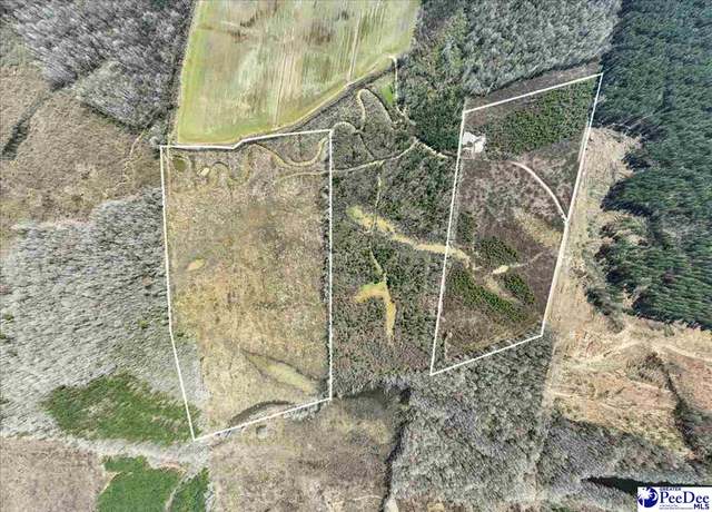 Property at Cash Swamp Rd, Cheraw, SC 29520