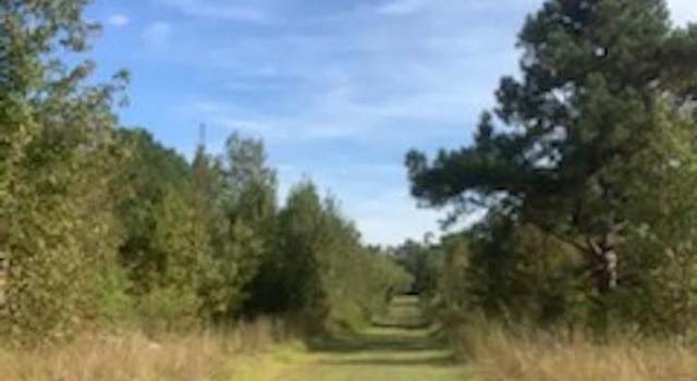 Photo of TBD Tbd Vicksburg Dr, Hamer, SC 29536