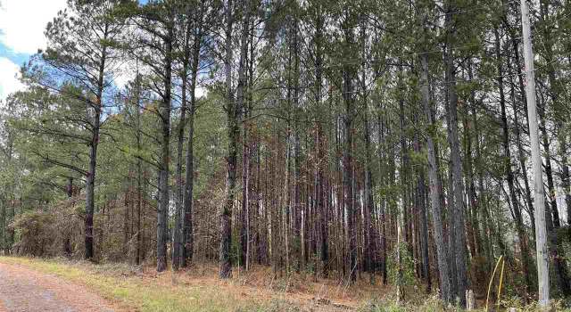Photo of 0.77 +/- Hunters Run Ln, Wallace, SC 29596