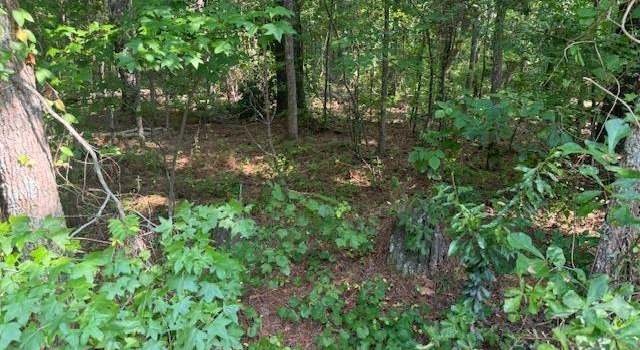 Photo of 000 Ballpark Rd. (highway 136), Effingham, SC 29541