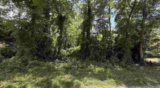 Photo of Elm St, Johnsonville, SC 29555