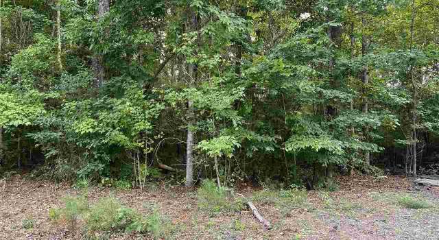 Photo of 257 Pineneedle Cir, Johnsonville, SC 29555