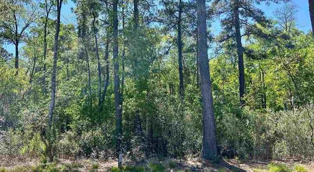 Photo of Hamp Rd, Mullins, SC 29574