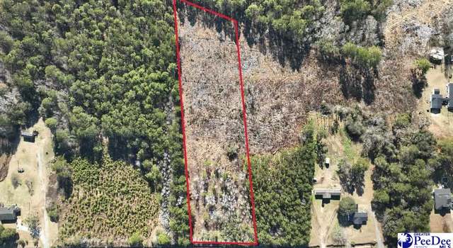 Photo of 0 Gibson Rd, Greeleyville, SC 29056