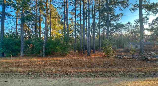 Photo of 2925 Leah Dr, Little Rock, SC 29547