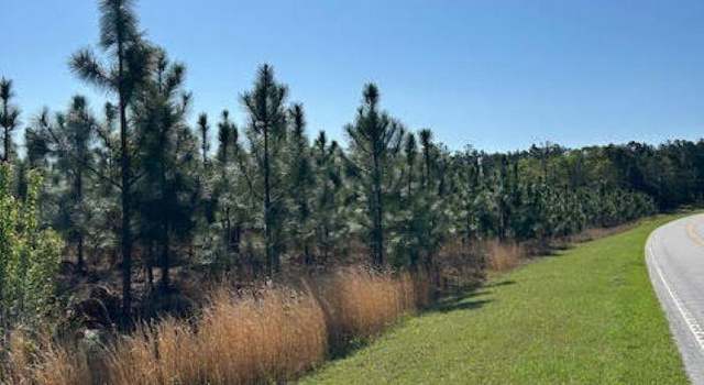 Photo of TBD Highway 109 South, Ruby, SC 29741