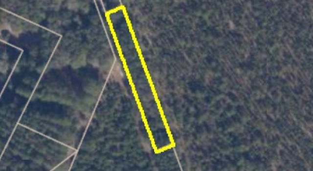 Photo of tbd Arcadia Rd, Blenheim, SC 29516