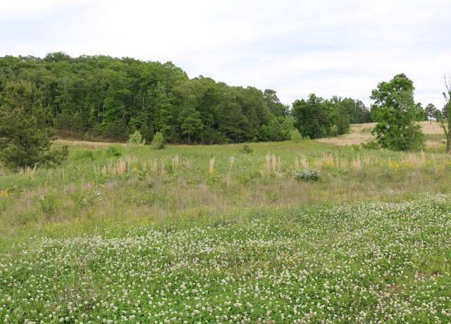 Property at 216 Lake Ferry Dr, Lenoir City, TN 37772