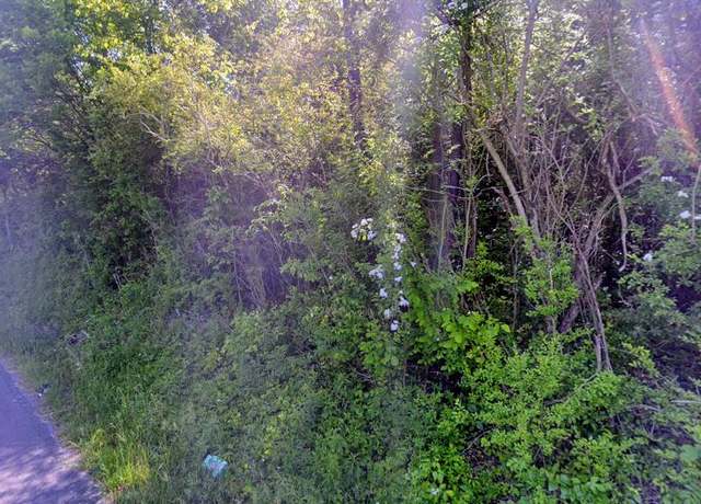 Property at 00 Rymer Rd, Old Fort, TN 37362