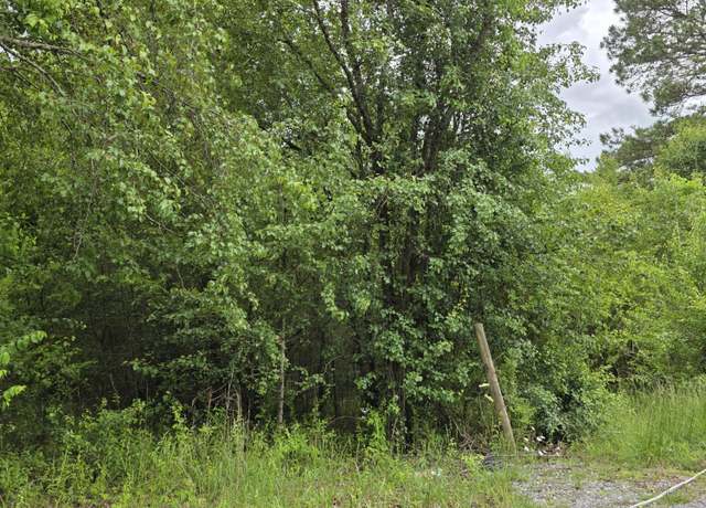 Property at 00 County Road 101, Riceville, TN 37370