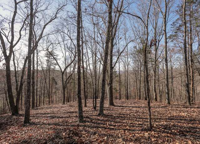 Property at 0 Brookstone Heights Ln, Dayton, TN 37321