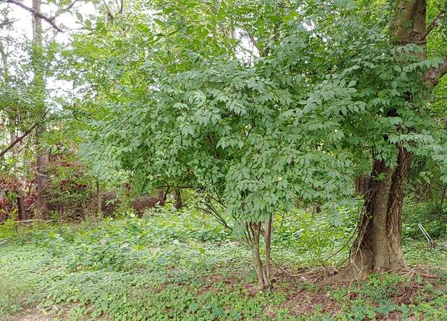 Property at 00 Norton Rd, Athens, TN 37303