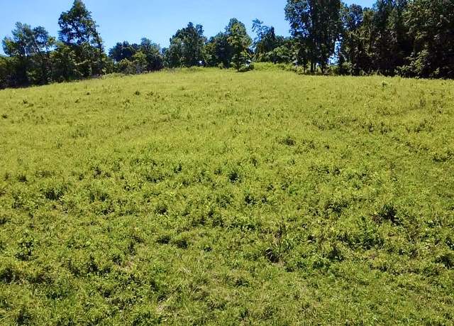Property at 908 Earl Broady Rd, Evensville, TN 37332