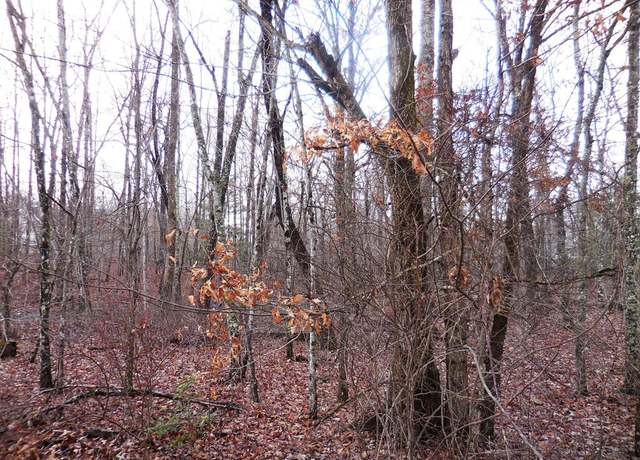 Property at 1143 Natchez Trce, Crossville, TN 38572