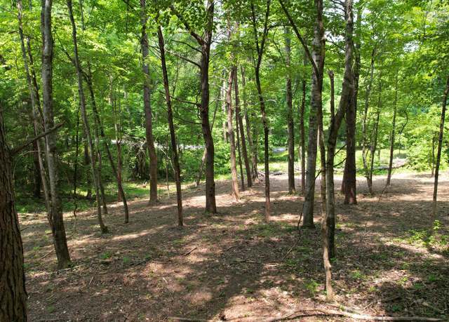 Property at 0 Cypress Dr, Spring City, TN 37381