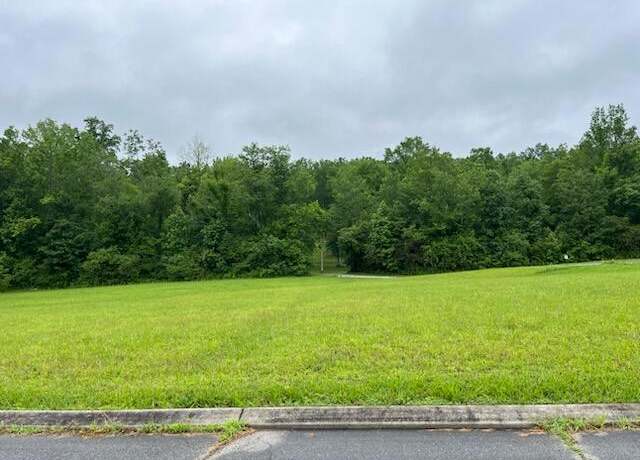 Property at 0 Frank Circle Cir, Dayton, TN 37321