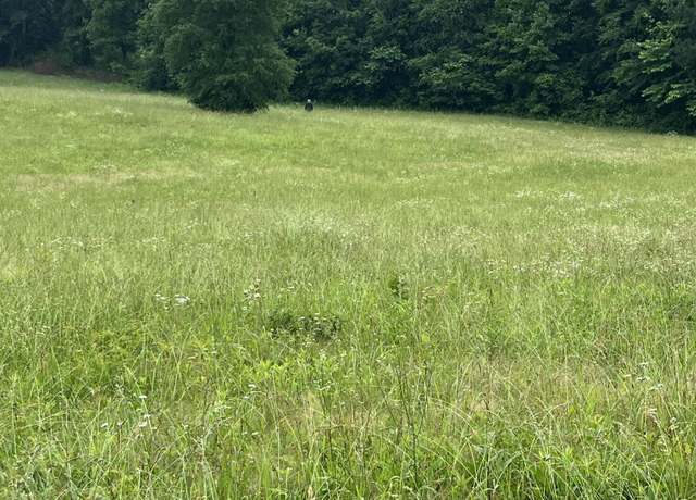Property at 248 Buckner Rd, Delano, TN 37325