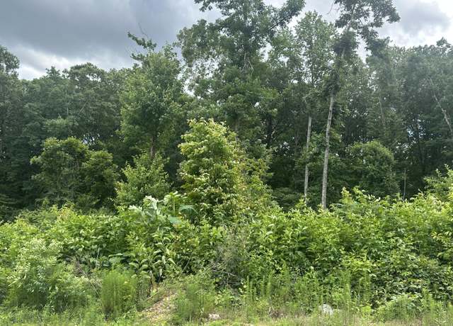Property at 129 County Road 155 Dr, Riceville, TN 37370