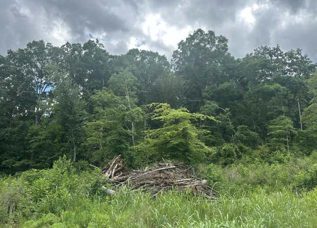 Property at 125 County Road 155, Riceville, TN 37370