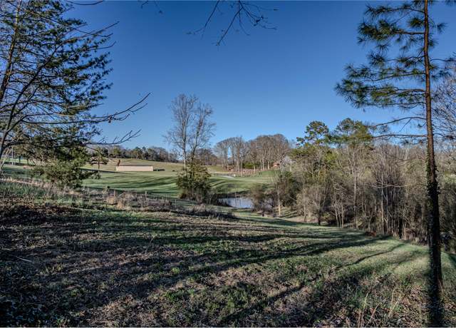 Property at 13.92 Acre County Road 728, Riceville, TN 37370