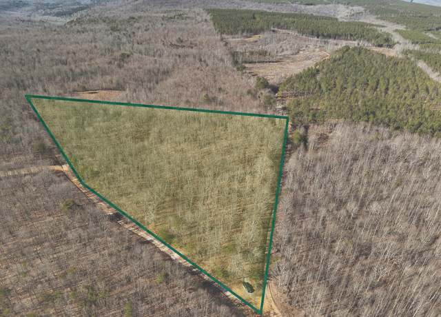 Property at 0 Palmer Fire Tower Rd, Palmer, TN 37365