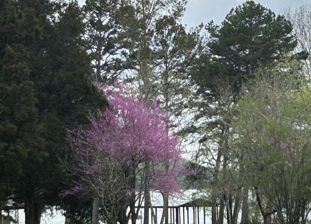 Property at Undisclosed address, Spring City, TN 37381