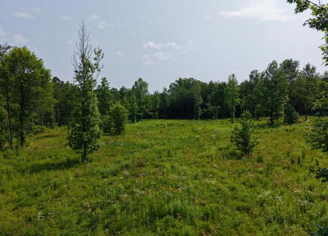Property at Lot 17 County Road 545, Englewood, TN 37329