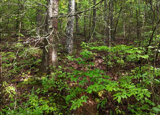 Property at 0 Steer Creek Rd, Tellico Plains, TN 37385