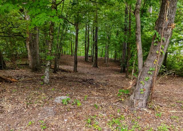 Property at 260 Sam Johnson Rd, Georgetown, TN 37336