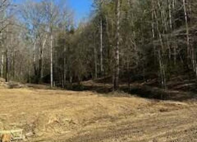 Property at 63.74 Chestnut Valley Rd, Vonore, TN 37885