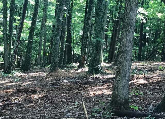 Property at Lot 24 Piney Knob Dr, Spring City, TN 37381
