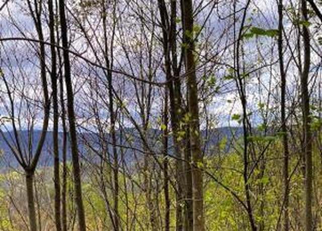 Property at 29+Acres County Road 484, Englewood, TN 37329