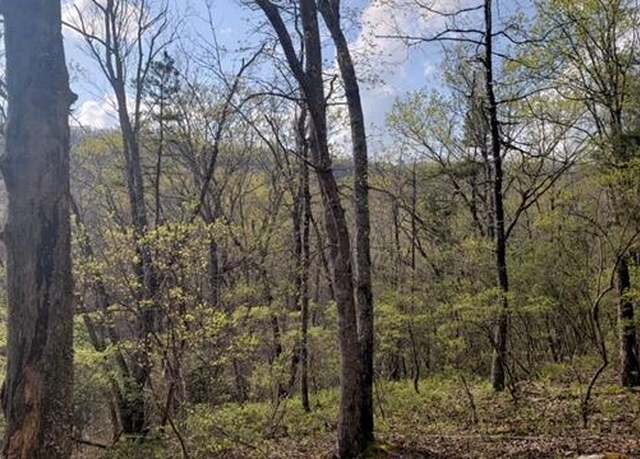 Property at 00 Clifton Cemetery Rd, Spring City, TN 37381