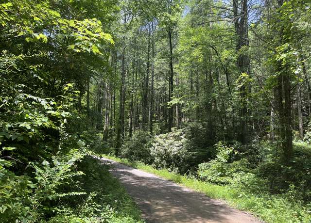 Property at 00 Tinker Br, Reliance, TN 37369