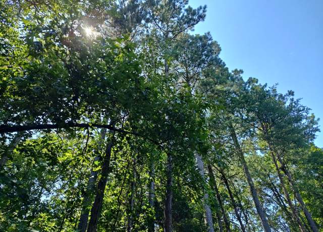 Property at 44 Acres Hiwassee Hwy, Dayton, TN 37321