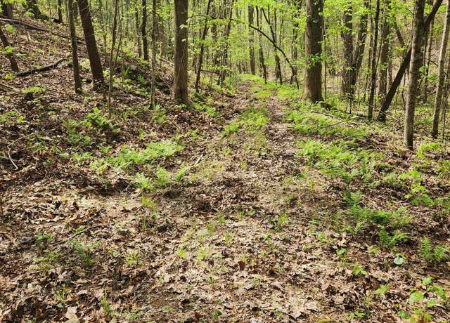 Property at 00 Chestnut Mountain Rd, Reliance, TN 37369