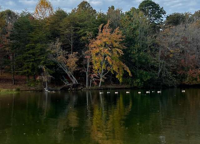 Property at Lot 45 Pin Hook Rd, Spring City, TN 37381