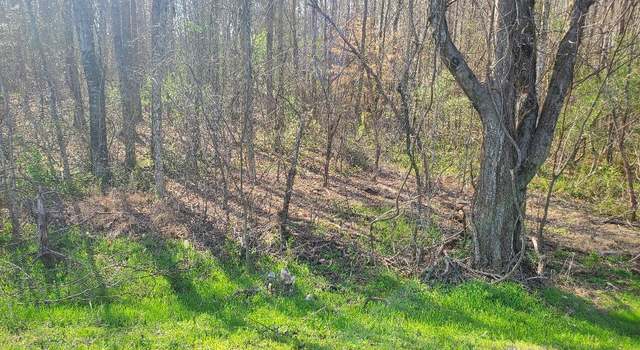 Photo of Lot 3 Highway 304, Decatur, TN 37322