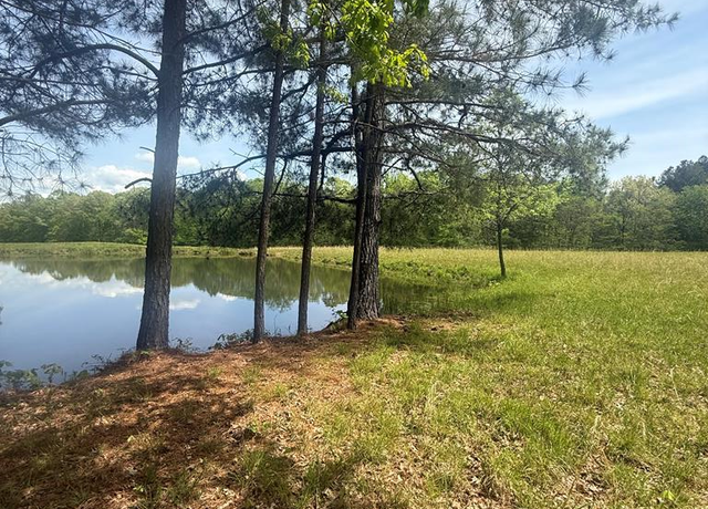 Property at 0 Lot 6 Point Pleasant Rd, Buchanan, TN 38222