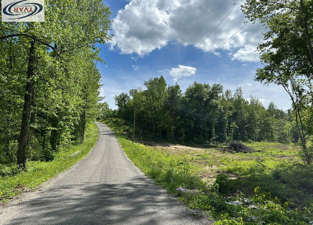 Property at 0 Mt Zion Rd, Big Sandy, TN 38221