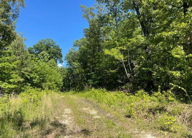 Property at 730 Swan Bay Dr, Buchanan, TN 38222