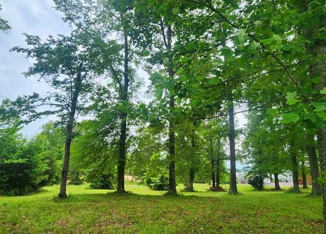 Property at 0 Overlook Rdg, Big Sandy, TN 38221