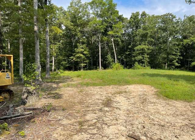 Property at 0000 Catfish Dr, Buchanan, TN 38222