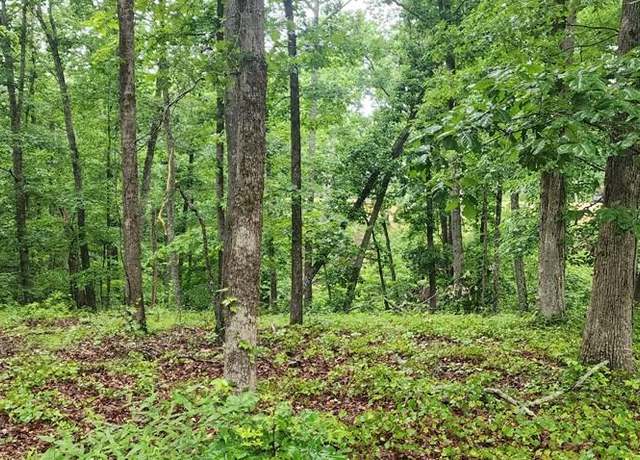 Property at 000 Dixie Cv, Holladay, TN 38341