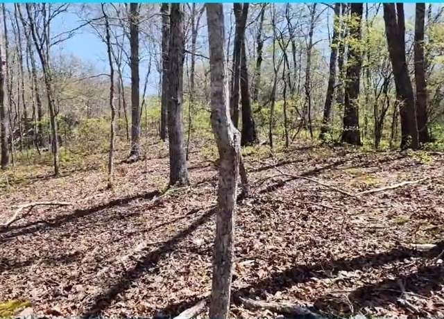 Property at 000 Chinkapin Cv, Holladay, TN 38341