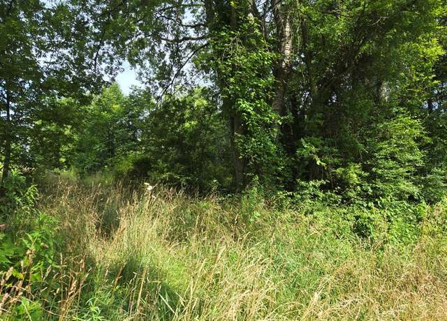Property at 0 Clayton Town Rd, Buchanan, TN 38222